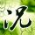 功夫2